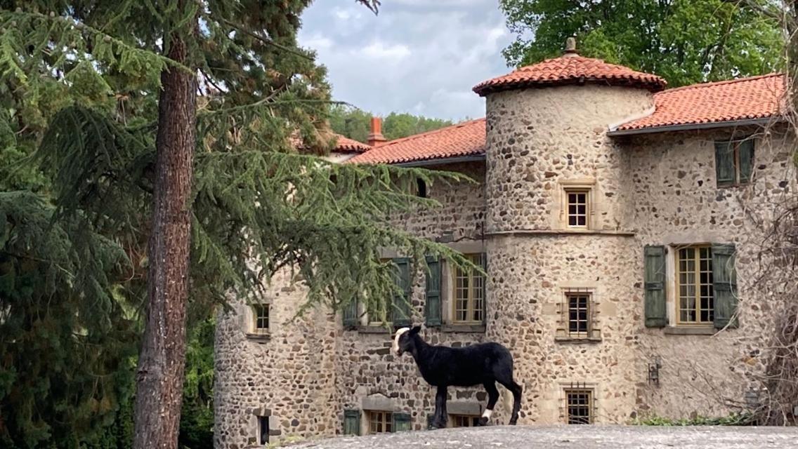 Chateau De Durianne Le Monteil  Zewnętrze zdjęcie