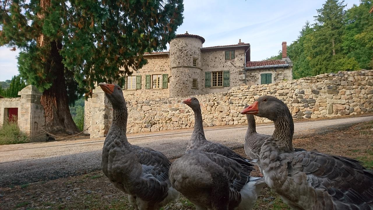 Chateau De Durianne Le Monteil  Zewnętrze zdjęcie