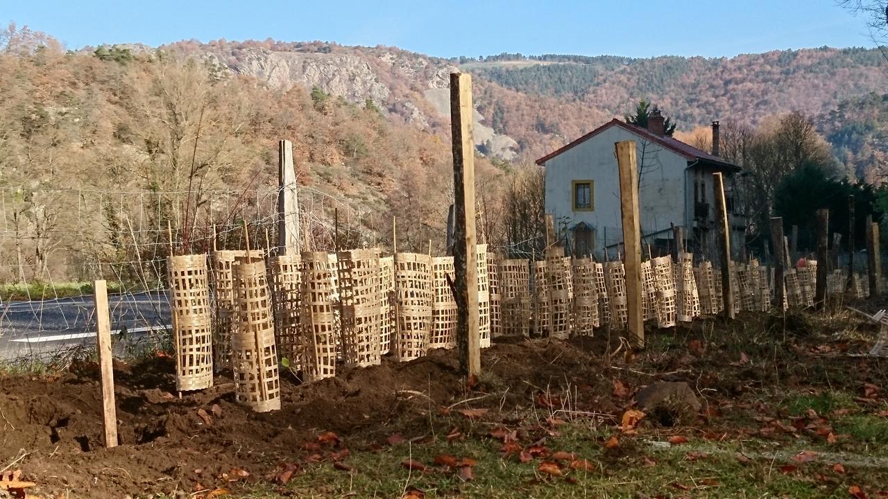 Chateau De Durianne Le Monteil  Zewnętrze zdjęcie